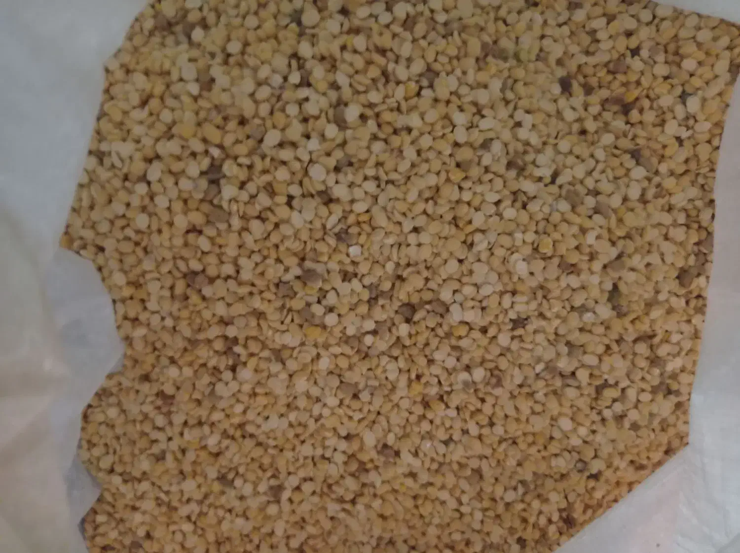 لپە خومالی ....|خوردنی و آشامیدنی|بوکان, |دیوار