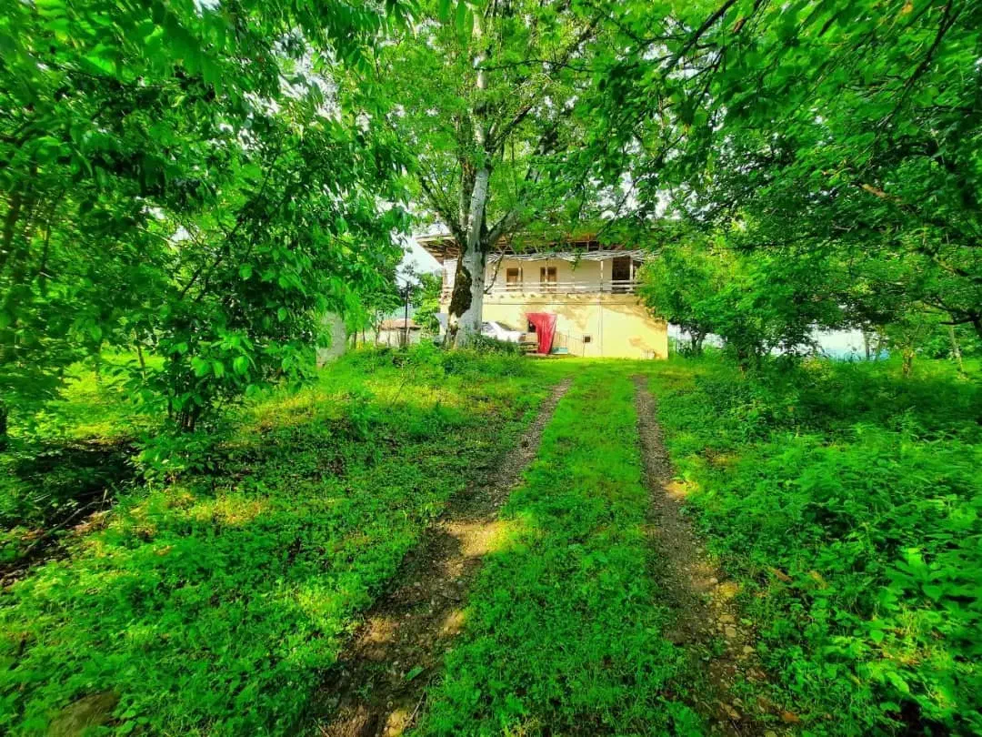 زمین سندار تفکیک شده در ماکلوان|فروش زمین و ملک کلنگی|ماکلوان, |دیوار