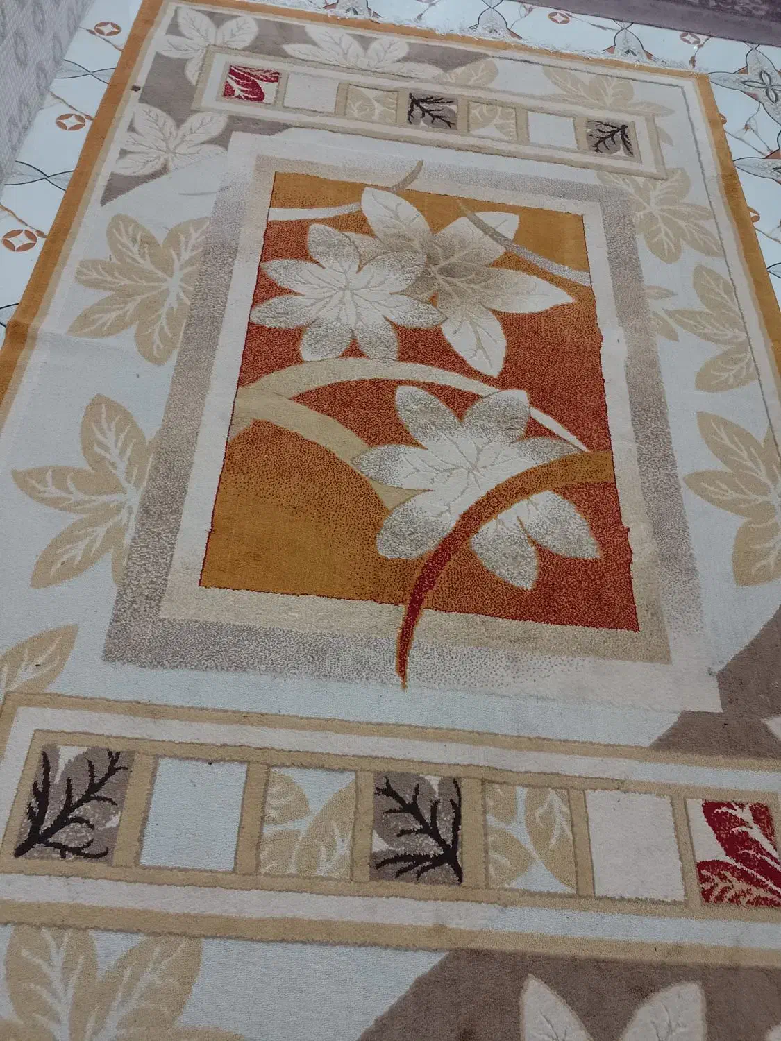 دو عدد گلیم|گلیم، جاجیم، گبه|زاهدان, |دیوار