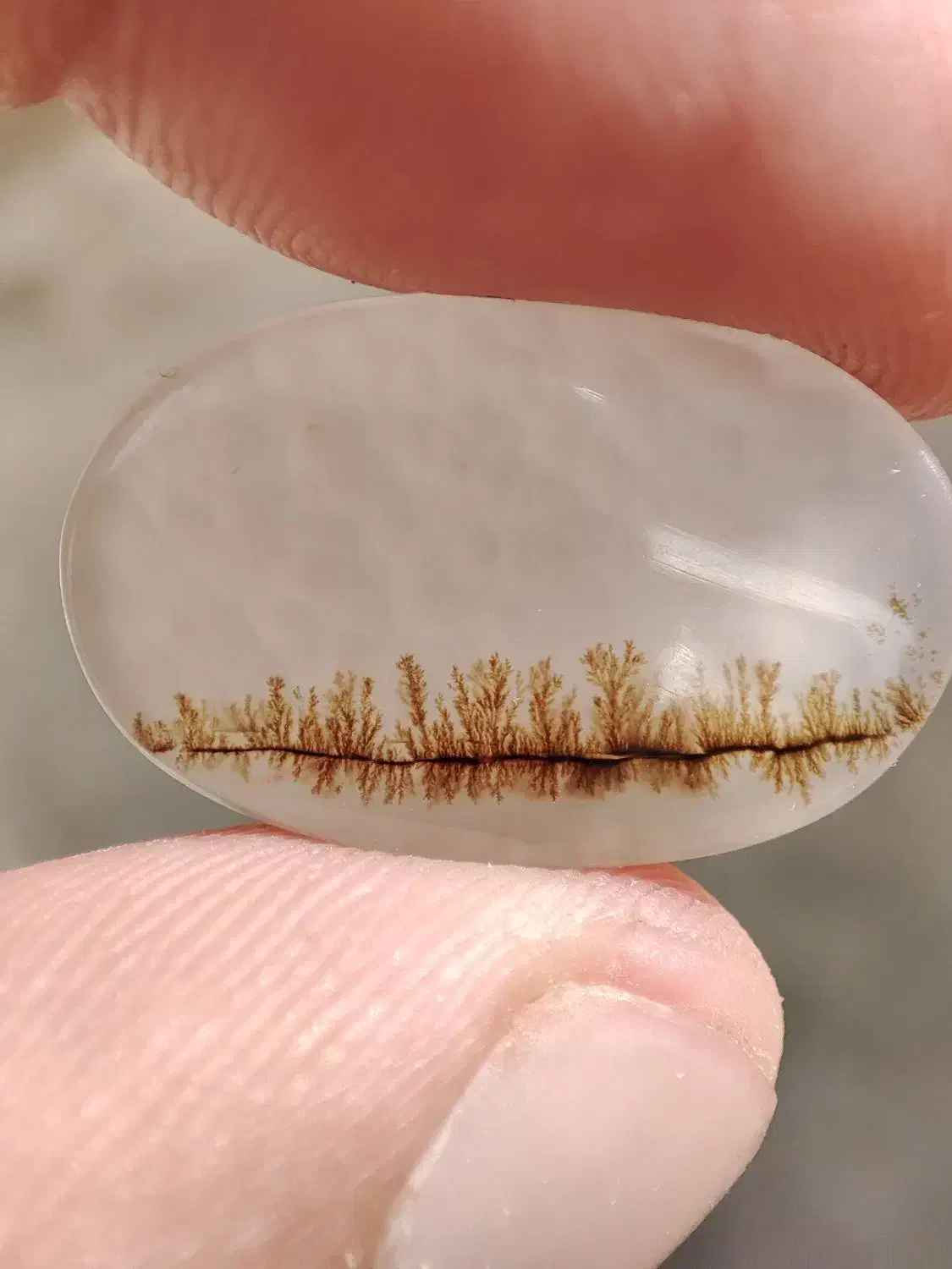 نگین انگشتر شجر درختان ردیفی|جواهرات|نورآباد, |دیوار