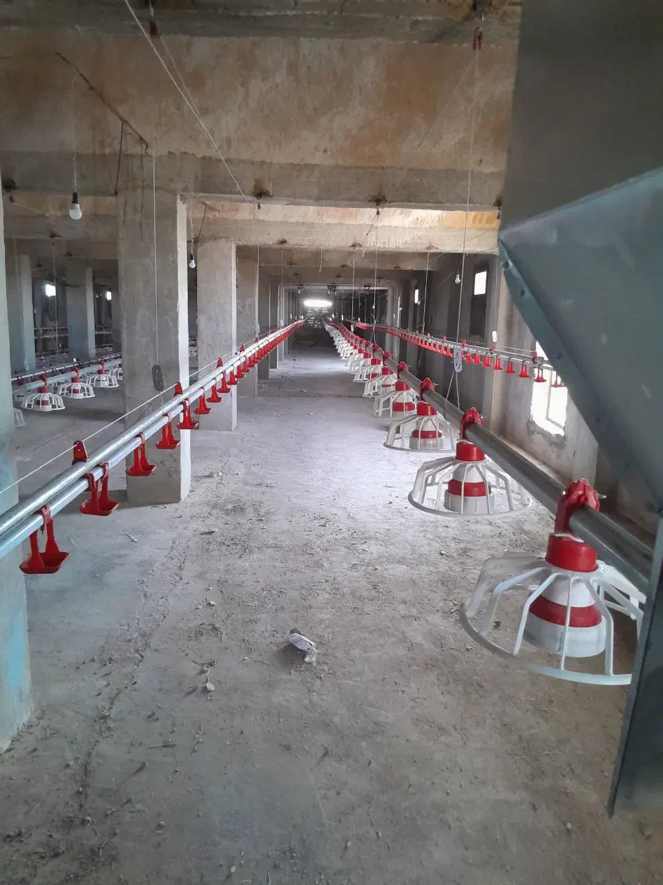 لوازم مرغداری کلیه تجهیزات|ماشین‌آلات صنعتی|لوشان, |دیوار