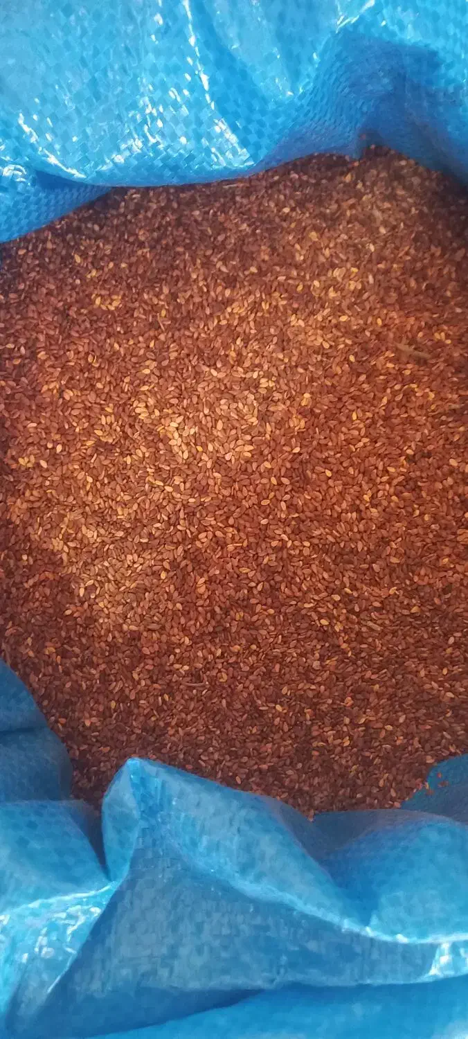 کنجد بوجاری شده تمیز|خوردنی و آشامیدنی|دره شهر, |دیوار