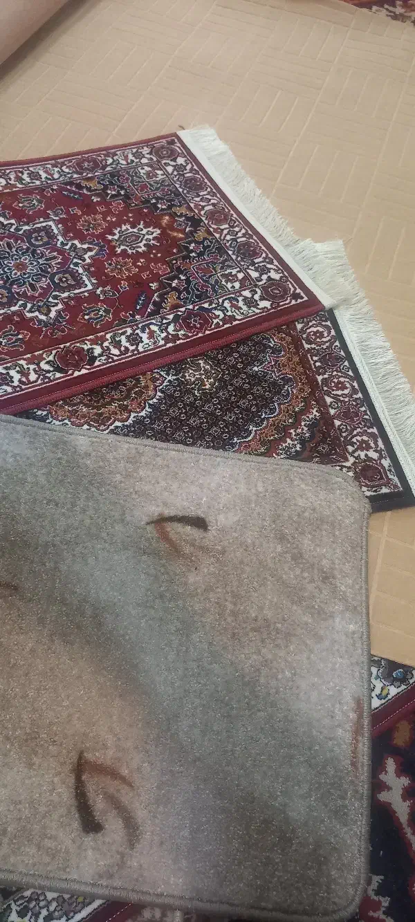 موکت‌کارکرده‌شکلاتی‌۴۰‌متر|موکت|تبریز, |دیوار