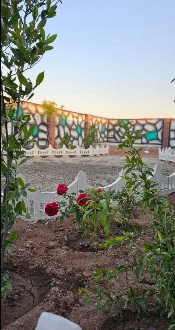 باغچه ۱۸۰ متری .زمین چار دیواری.سند دار|فروش زمین و ملک کلنگی|رباطکریم, رباطکریم|دیوار