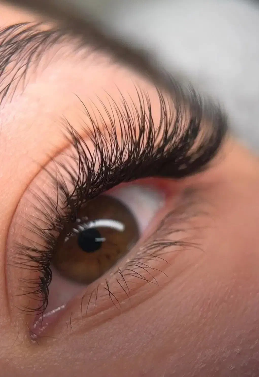 مدل اکستنشن مژه|خدمات آرایشگری و زیبایی|بروجن, |دیوار