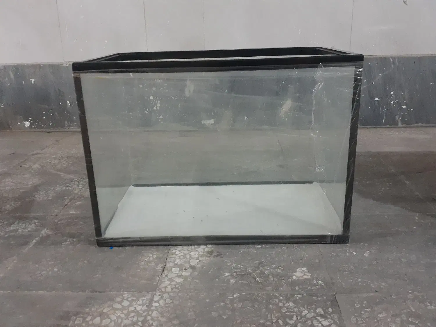 شیشه ی آکواریوم|ماهی|تهران, کاج|دیوار