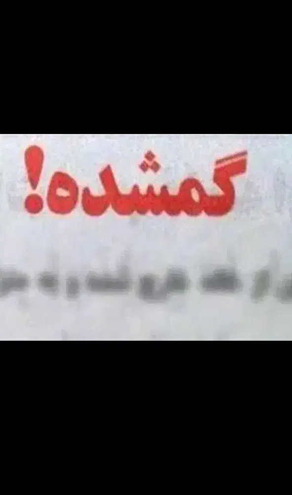 کیف کارتی گمشده دروازه تهران|اشیا|اصفهان, خرم|دیوار