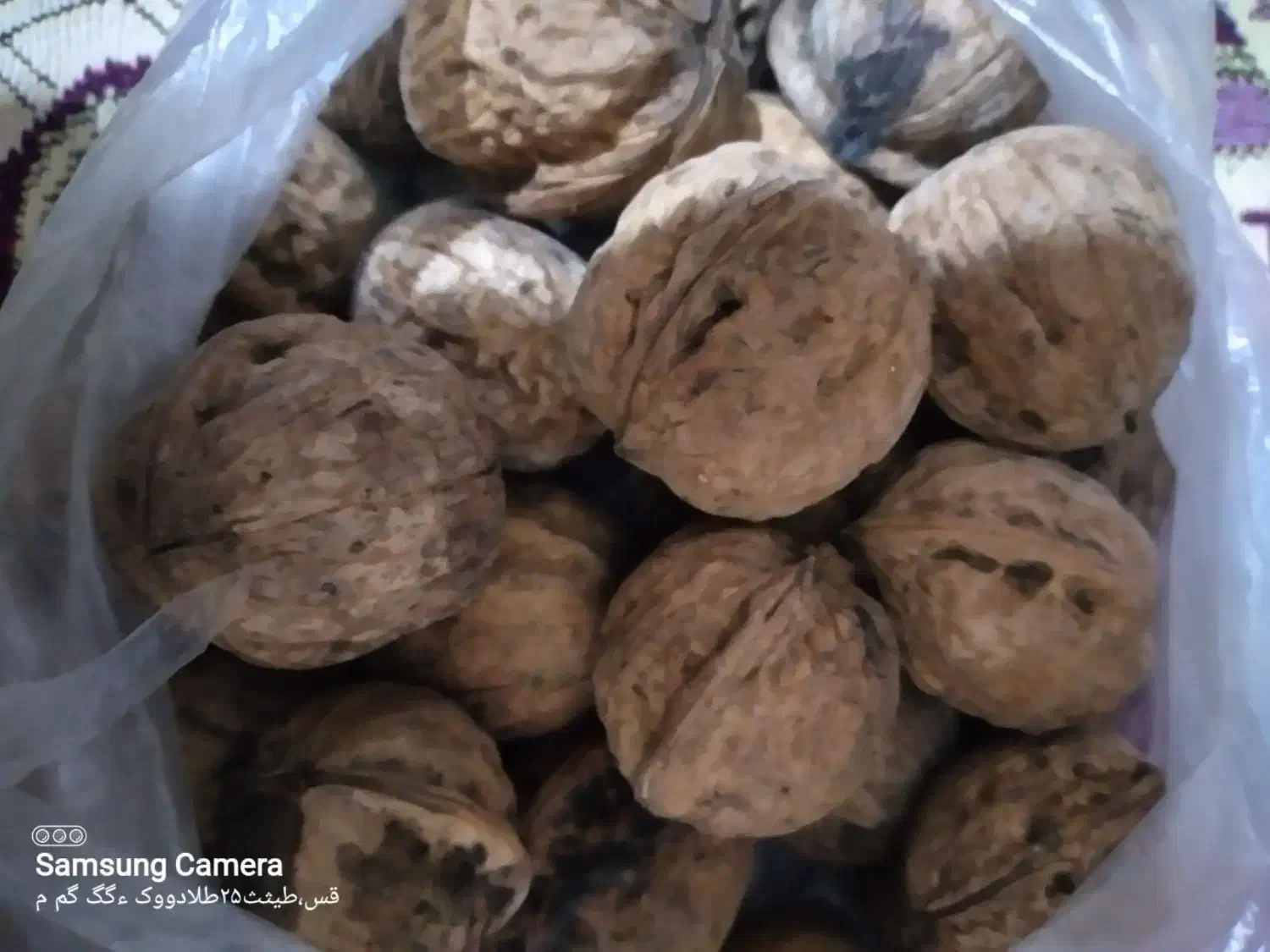 گردو بجنورد|خوردنی و آشامیدنی|مشهد, ولیعصر (شهرک غرب)|دیوار