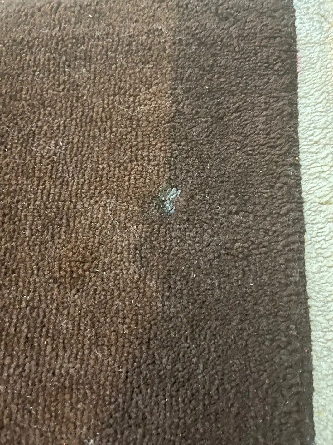 فرش ۶متری و۴متری|فرش|کرج, دولتآباد|دیوار