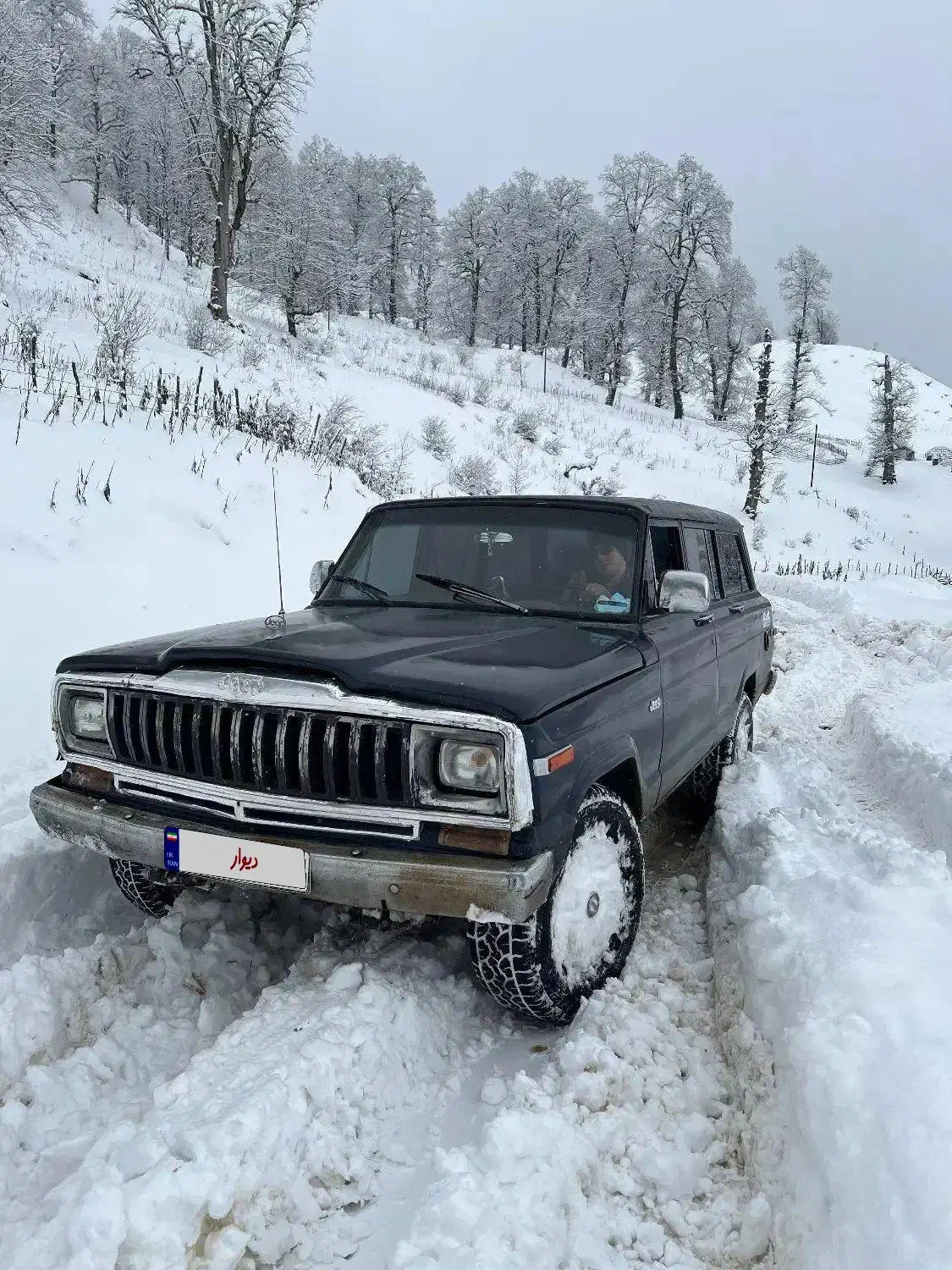 جیپ آهو مدل ۶۳|خودرو کلاسیک|تالش, هشتپر|دیوار