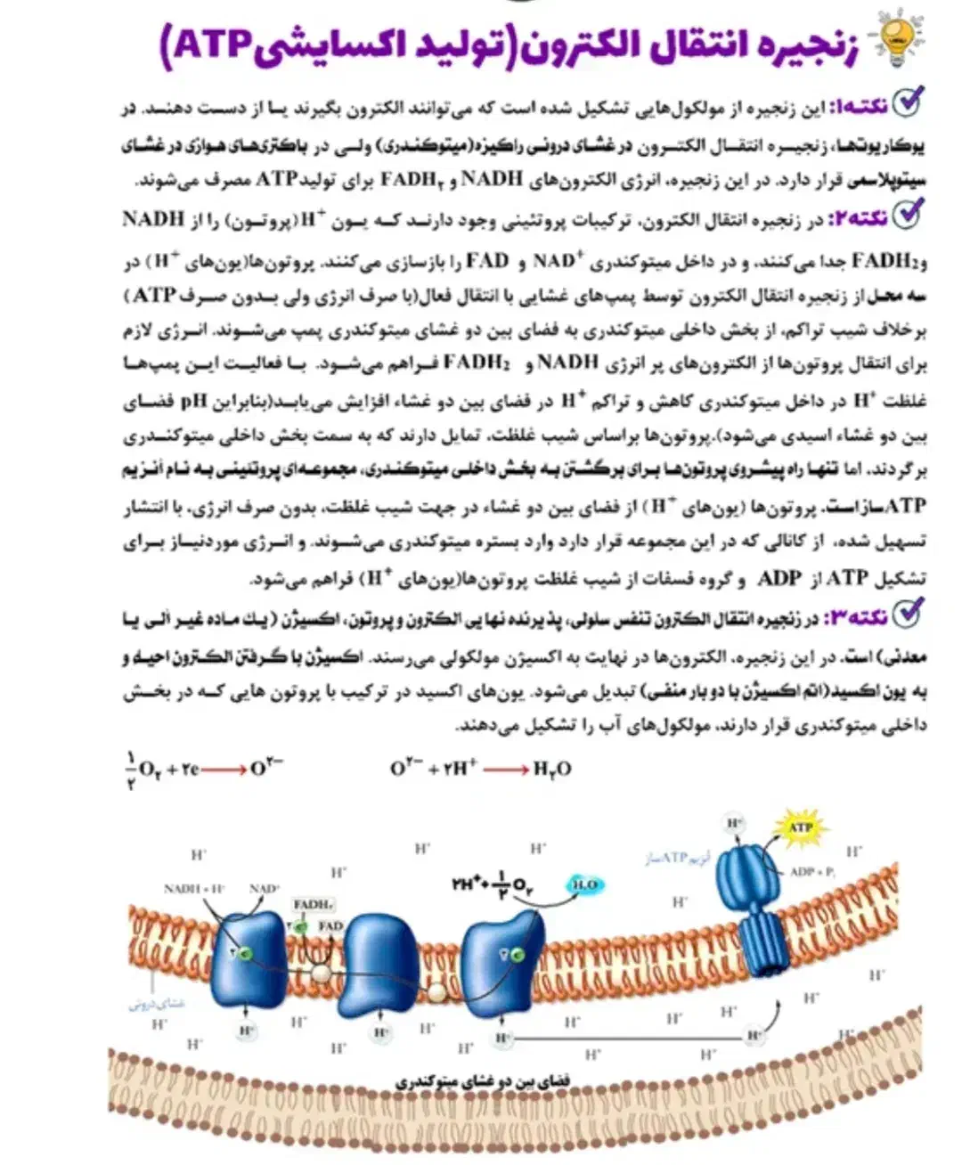 تدریس خصوصی زیست شناسی|خدمات آموزشی|صدرا-فارس, فاز ۱|دیوار
