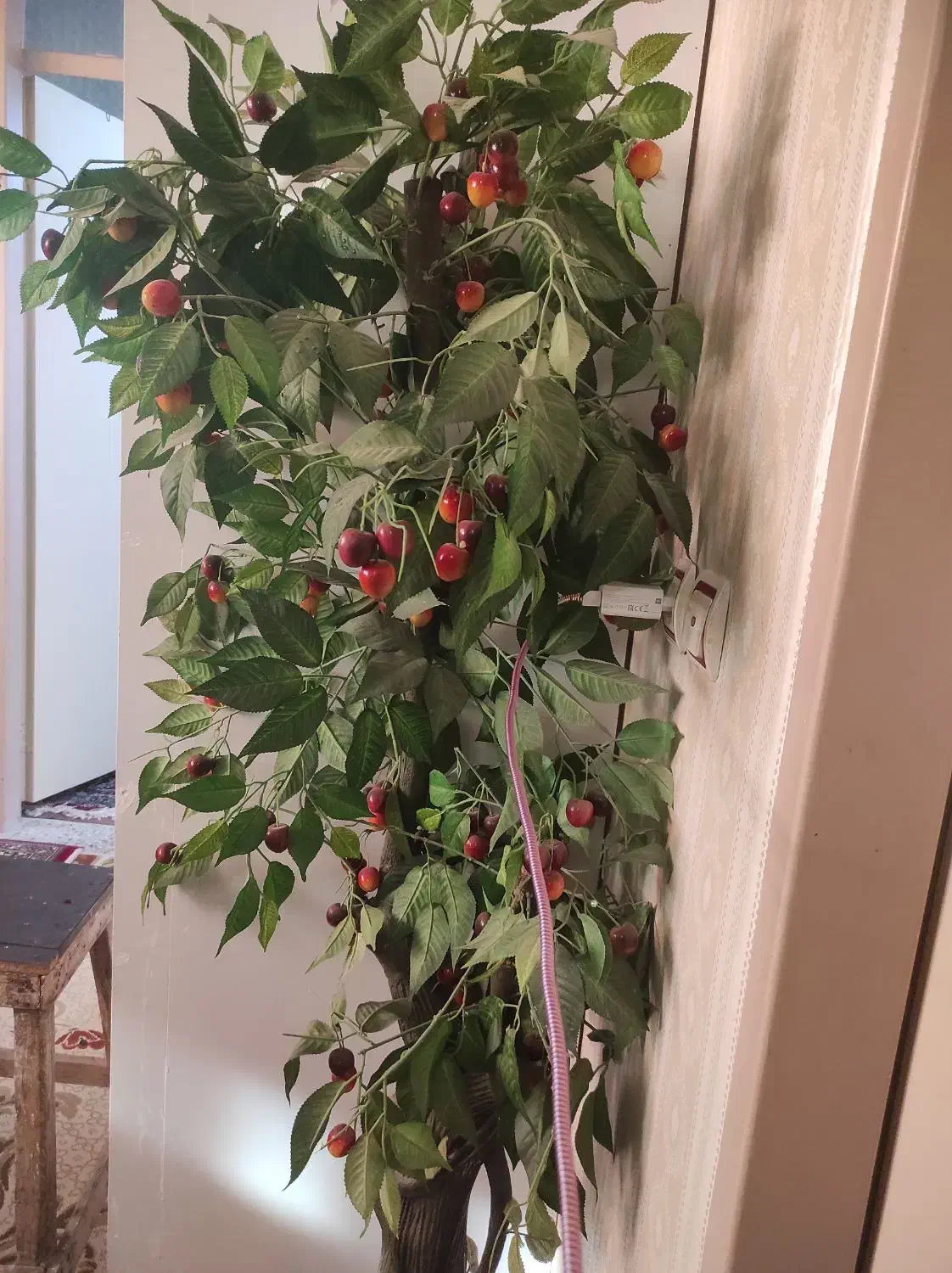 درخت گیلاس|گل مصنوعی|بروجرد, |دیوار