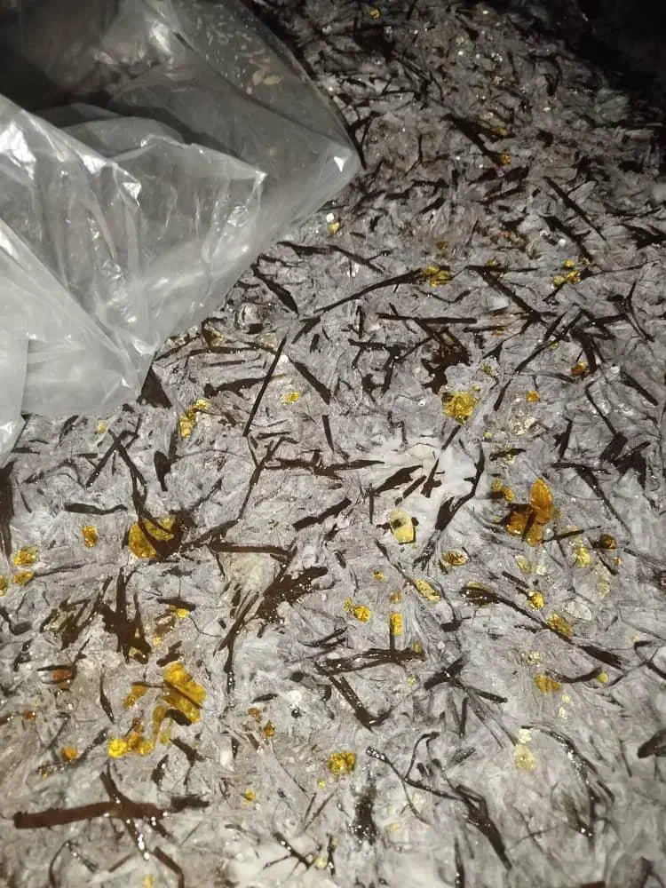 کمپوست قارج دکمه ای آماده بذرپاشی شده|عمدهفروشی|دزفول, |دیوار