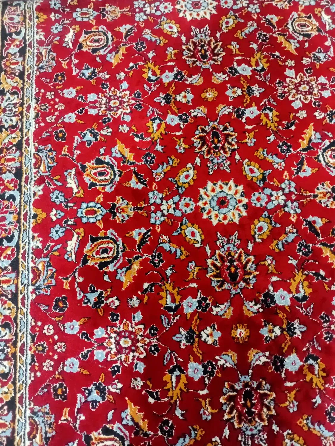 قالی راهرو|فرش|اهواز, گلستان|دیوار