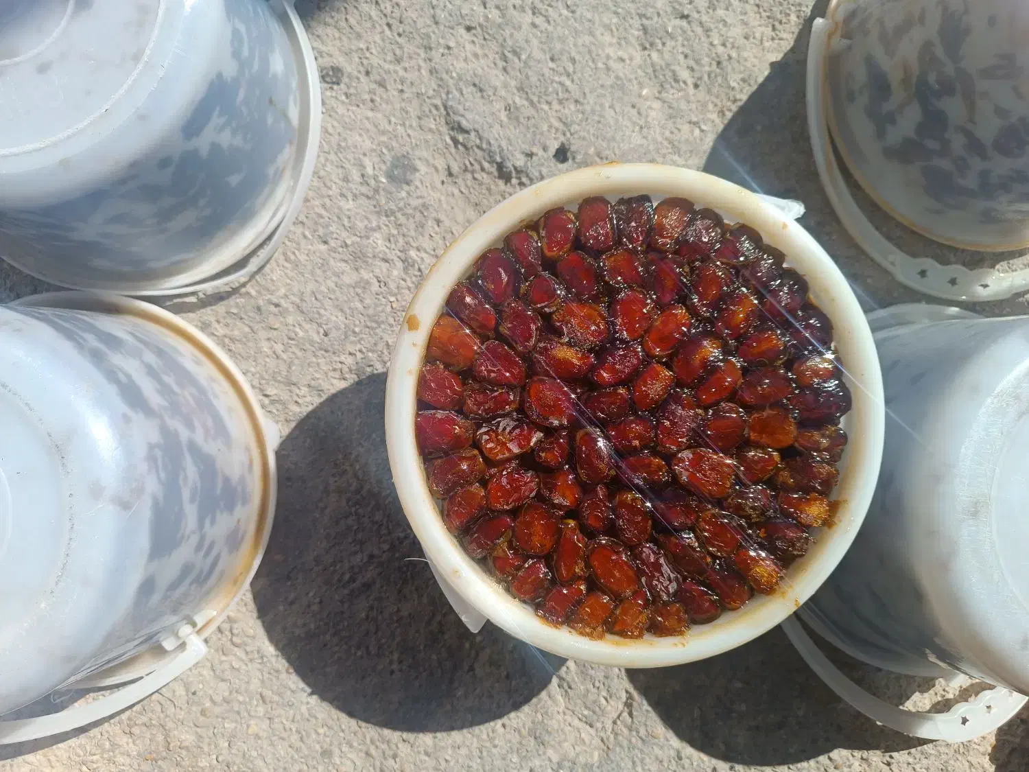 خرما کبکاب و خاصی بهبهان|خوردنی و آشامیدنی|اهواز, شهرک دانشگاه|دیوار