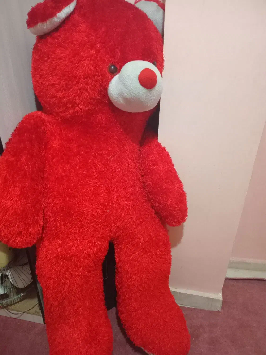 عروسک خرسی|اسباب‌‌بازی|ری, علایین|دیوار