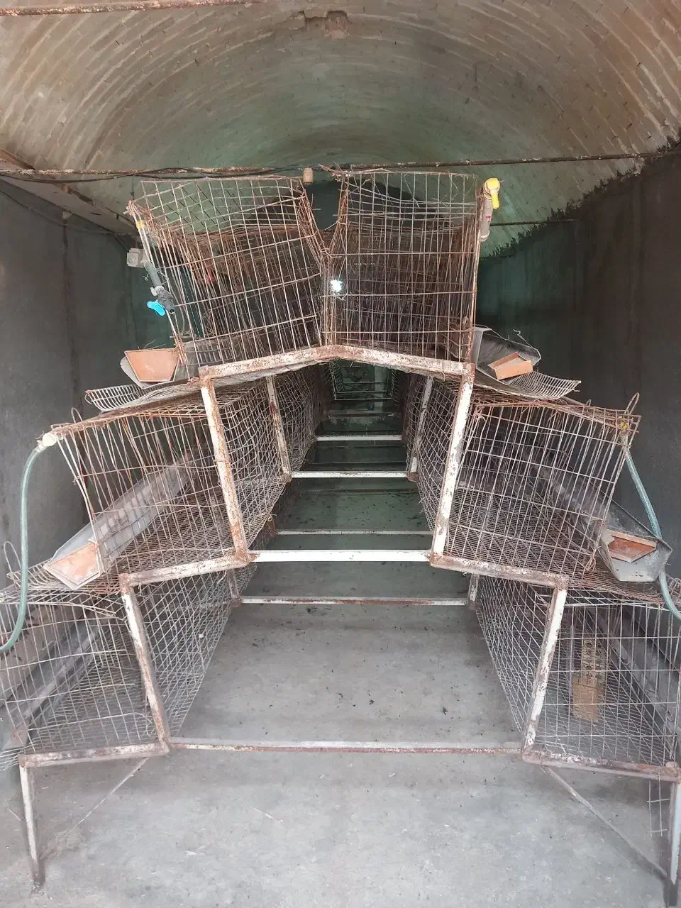 قفس مرغی|لوازم جانبی حیوانات|قم, میدان نو|دیوار