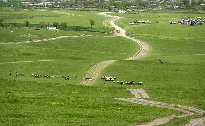 زمین ویلا|فروش زمین و ملک کلنگی|صادق آباد, |دیوار