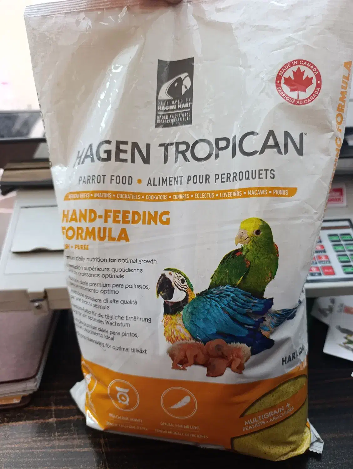 غذای تخمرغی کویکو|لوازم جانبی حیوانات|یزد, |دیوار