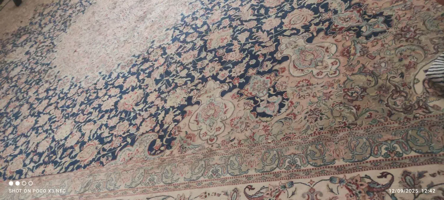 فرش 12متری|فرش|شاهین‌شهر, فردوسی|دیوار