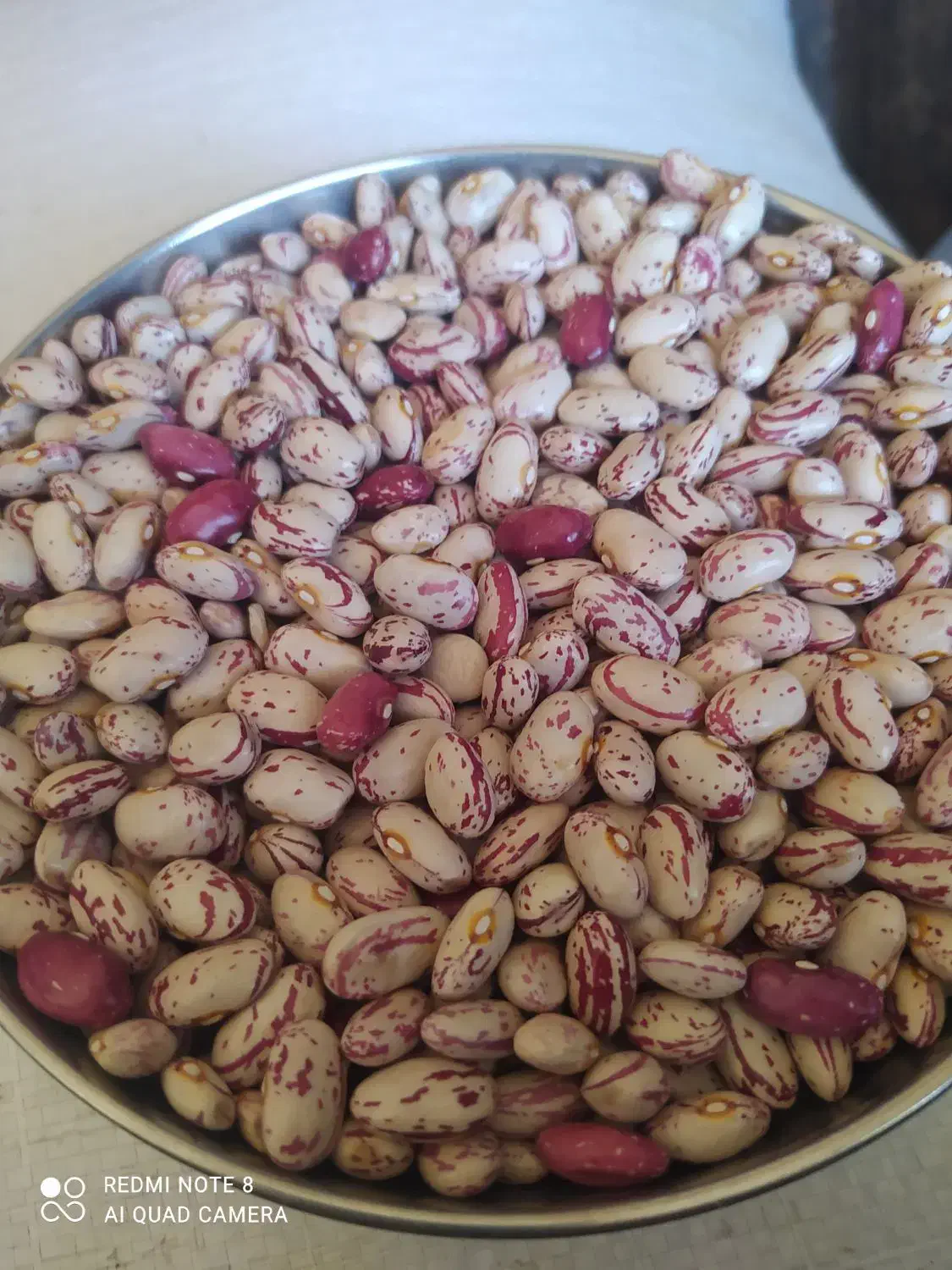 لوبیا چیتی مخصوص بوجاری شده|خوردنی و آشامیدنی|سراب, |دیوار