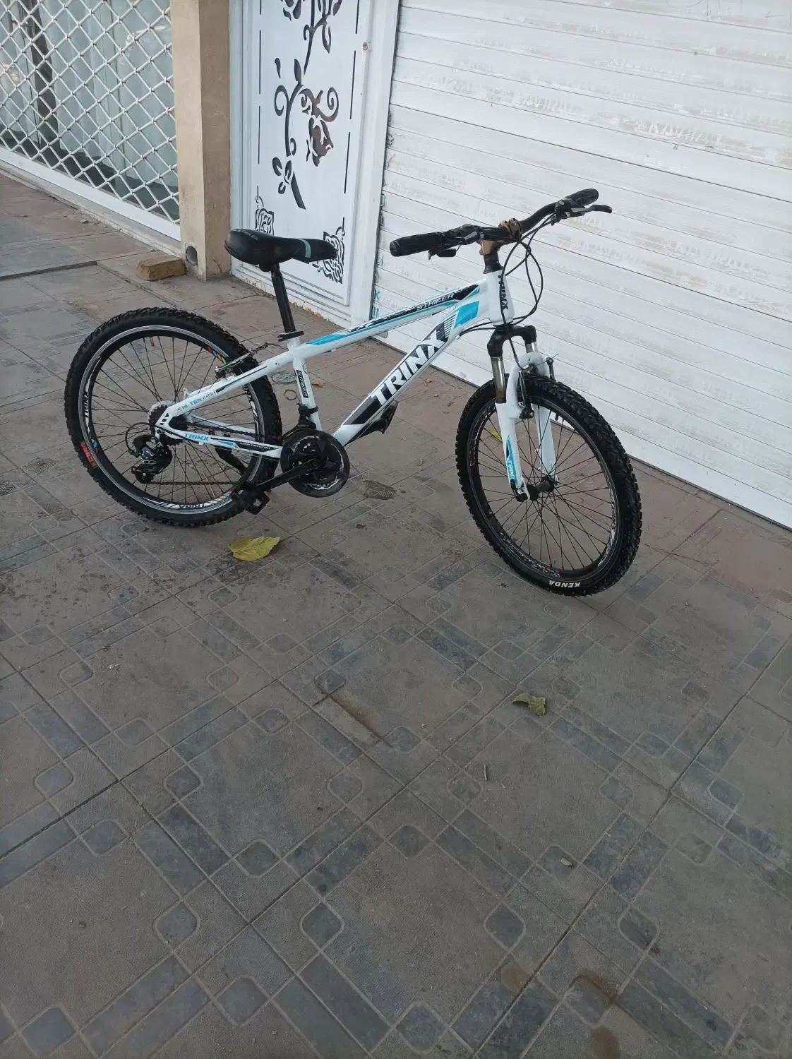دوچرخه ترنیکس سایز 24|دوچرخه، اسکیت، اسکوتر|تربتحیدریه, ده پائین|دیوار