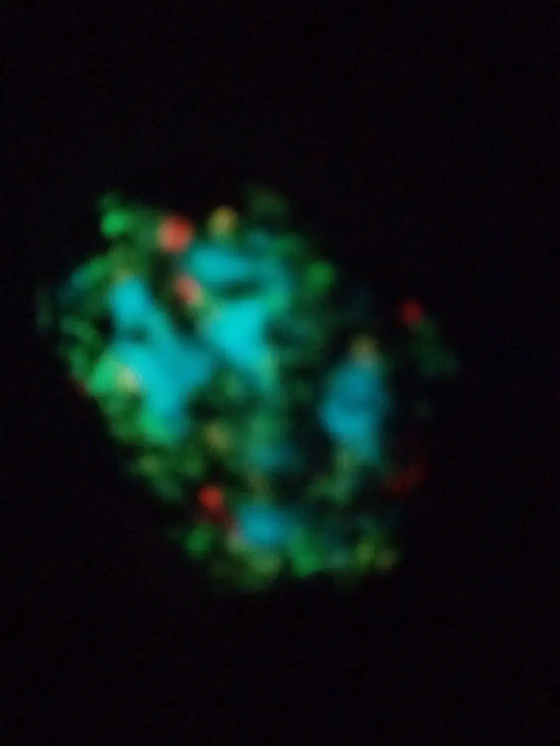 گوهرشب تاب طبیعی|جواهرات|تهران, آذربایجان|دیوار