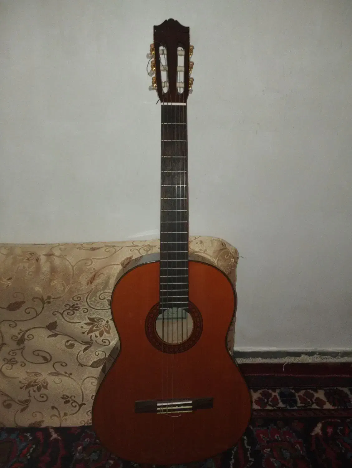 گیتار پاپ|گیتار، بیس، امپلیفایر|اسکو, |دیوار