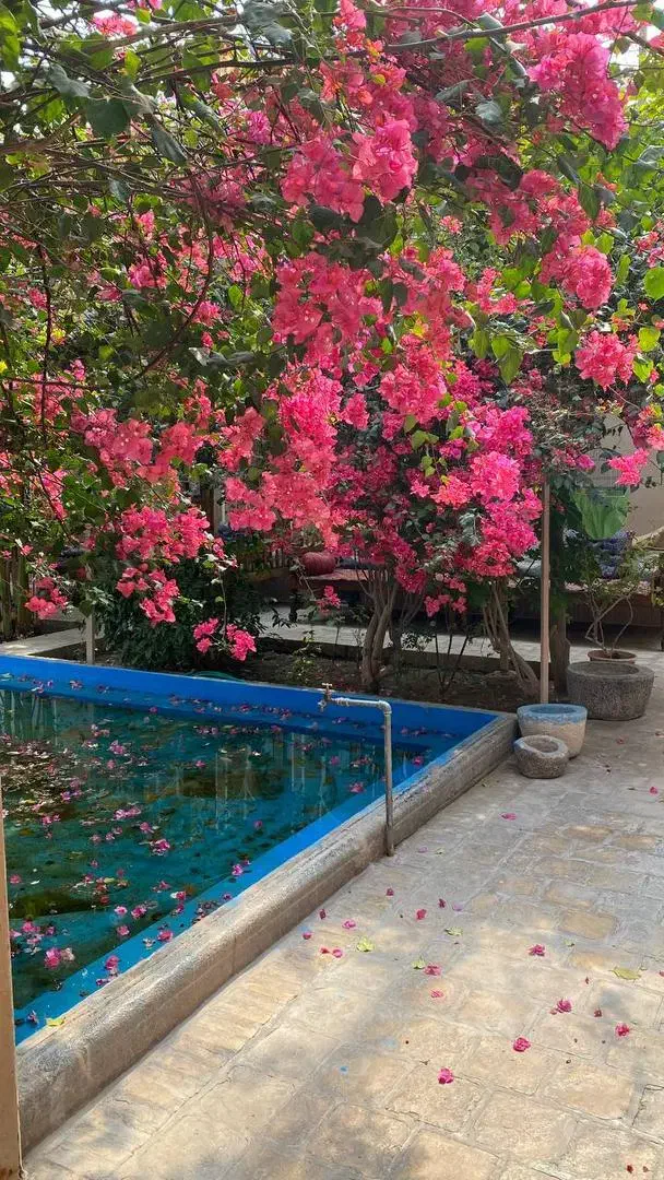 استخدام نیرو|استخدام سرایداری و نظافت|یزد, |دیوار