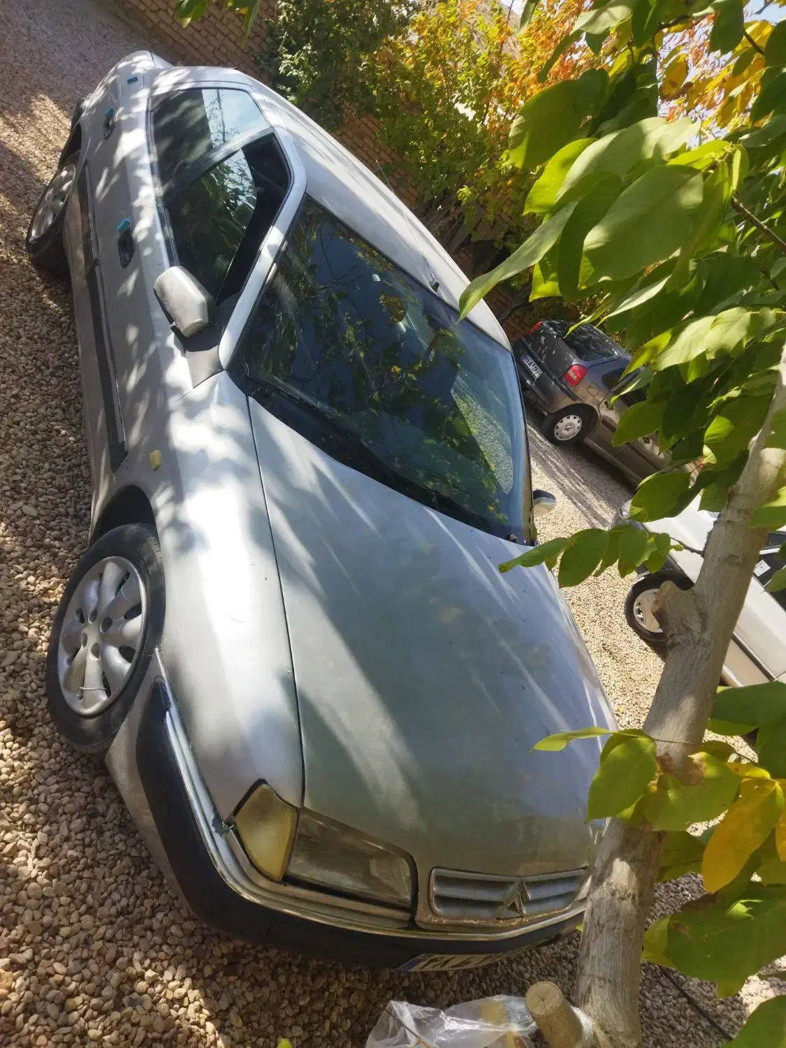 زانتیا|خودرو سواری و وانت|ارژن, |دیوار