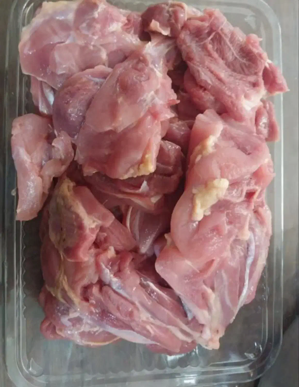 گوشت گرم شتر مرغ|خوردنی و آشامیدنی|مشکین‌دشت, |دیوار