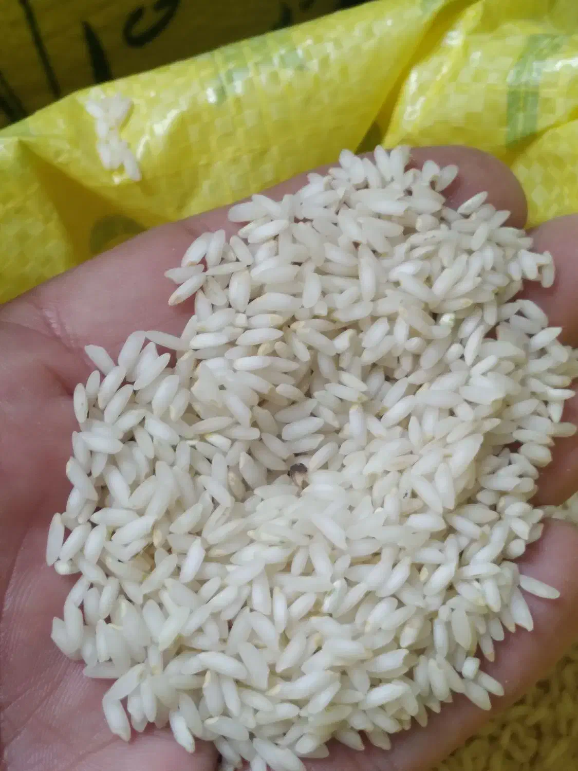 برنج عنبر بو شوشتر|خوردنی و آشامیدنی|پرند, فاز ۵|دیوار