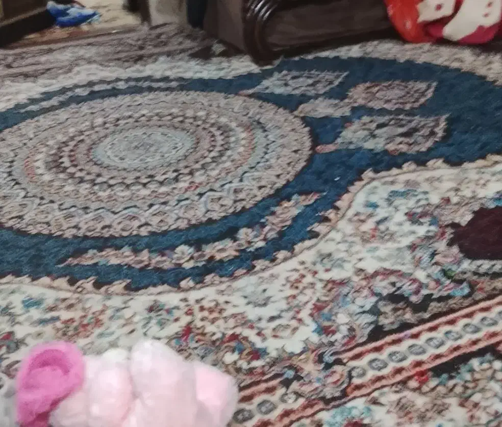 فرش 12 متری در حد نو|فرش|مشهد, نظام دوست|دیوار