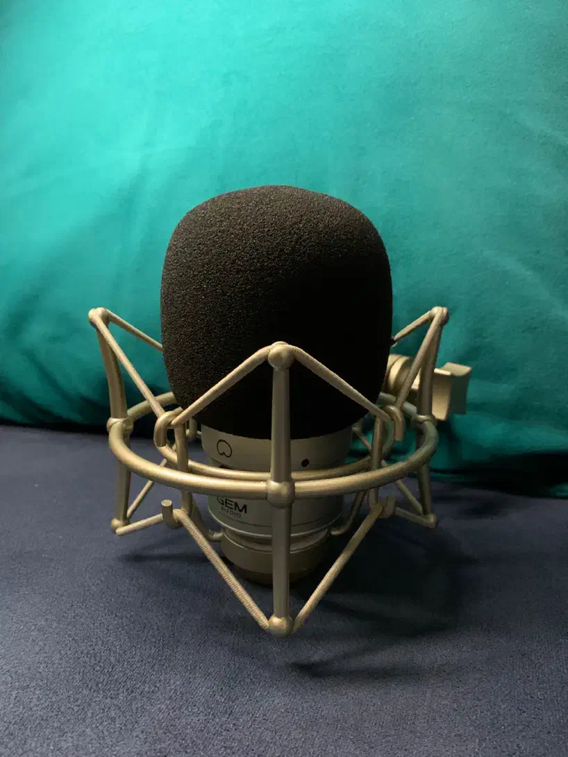 میکروفون کاندنسر استودیویی شرکت GEM|آلات موسیقی|رشت, گلزاران|دیوار