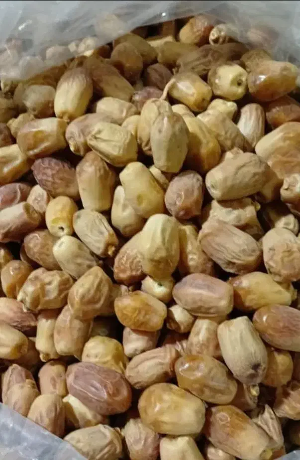 فروش خرما|خوردنی و آشامیدنی|فولادشهر, B2|دیوار