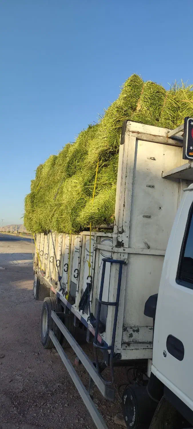 خرید و فروش یونجه پرس،کاه پرس(قالبی)|لوازم جانبی حیوانات|شیراز, گل سرخ|دیوار