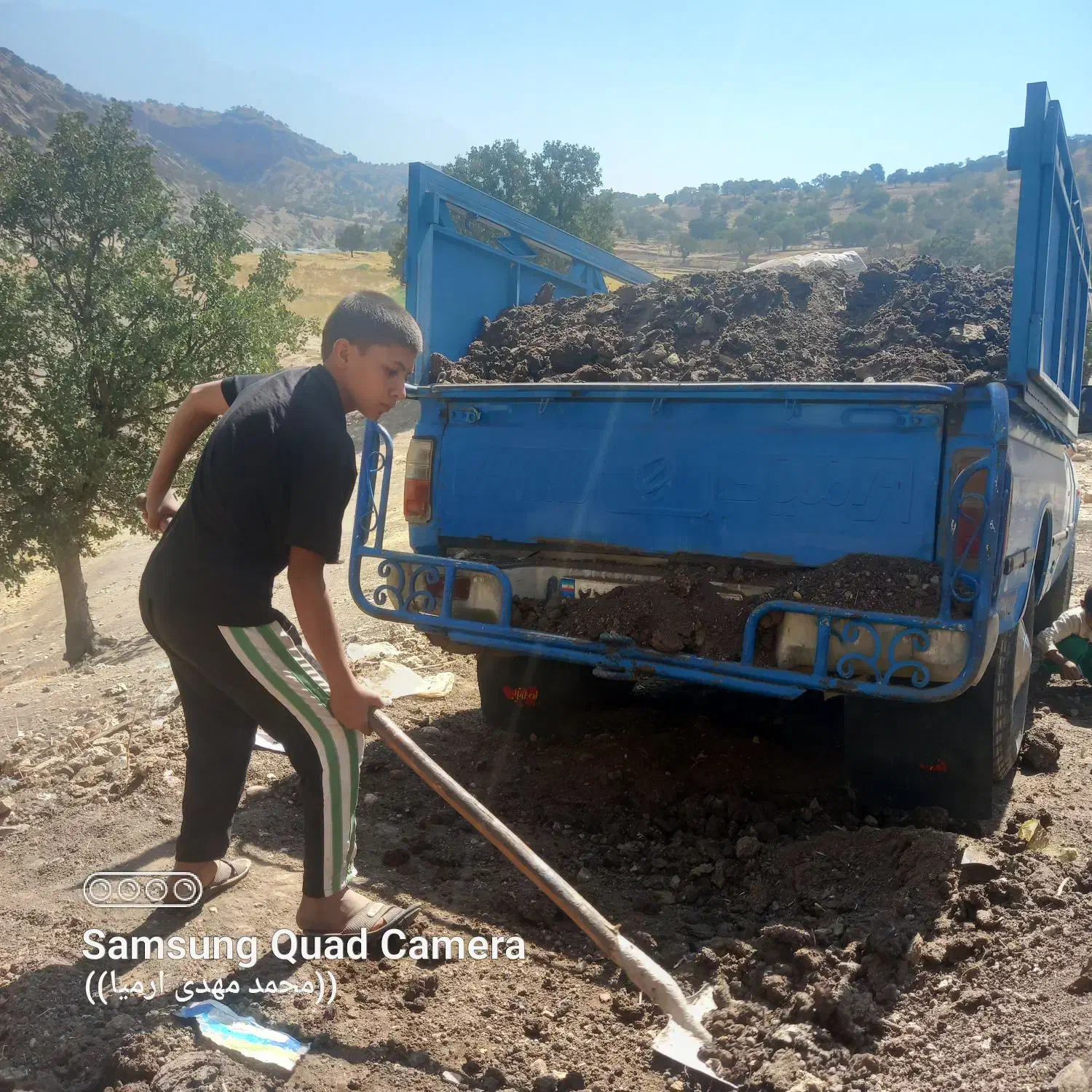 کود حیوانی وگاوی|گل و گیاه طبیعی|پاتاوه, |دیوار