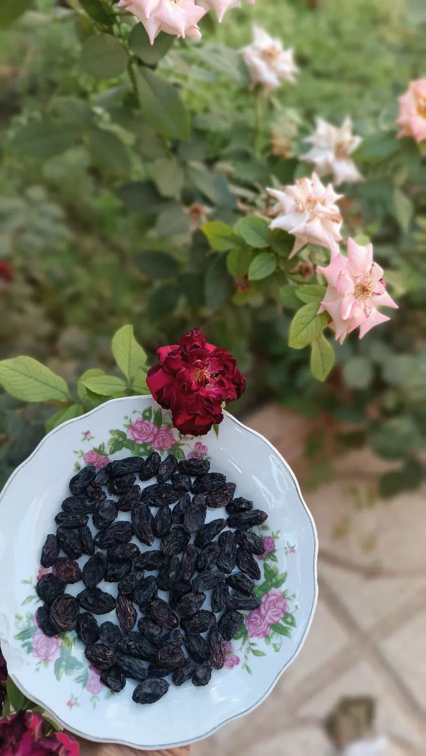 مویز|خوردنی و آشامیدنی|اشتهارد, |دیوار