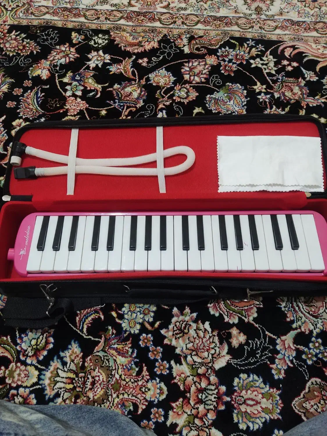 ساز بادی|سازهای بادی|سنندج, |دیوار