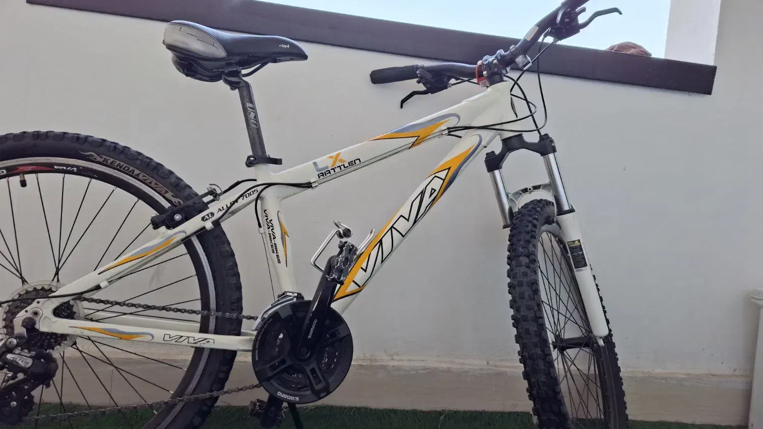 دچرخه VIVA خیلی حرف ای کل وسایل فابریک|دوچرخه، اسکیت، اسکوتر|اندیشه, اندیشه فاز ۳|دیوار