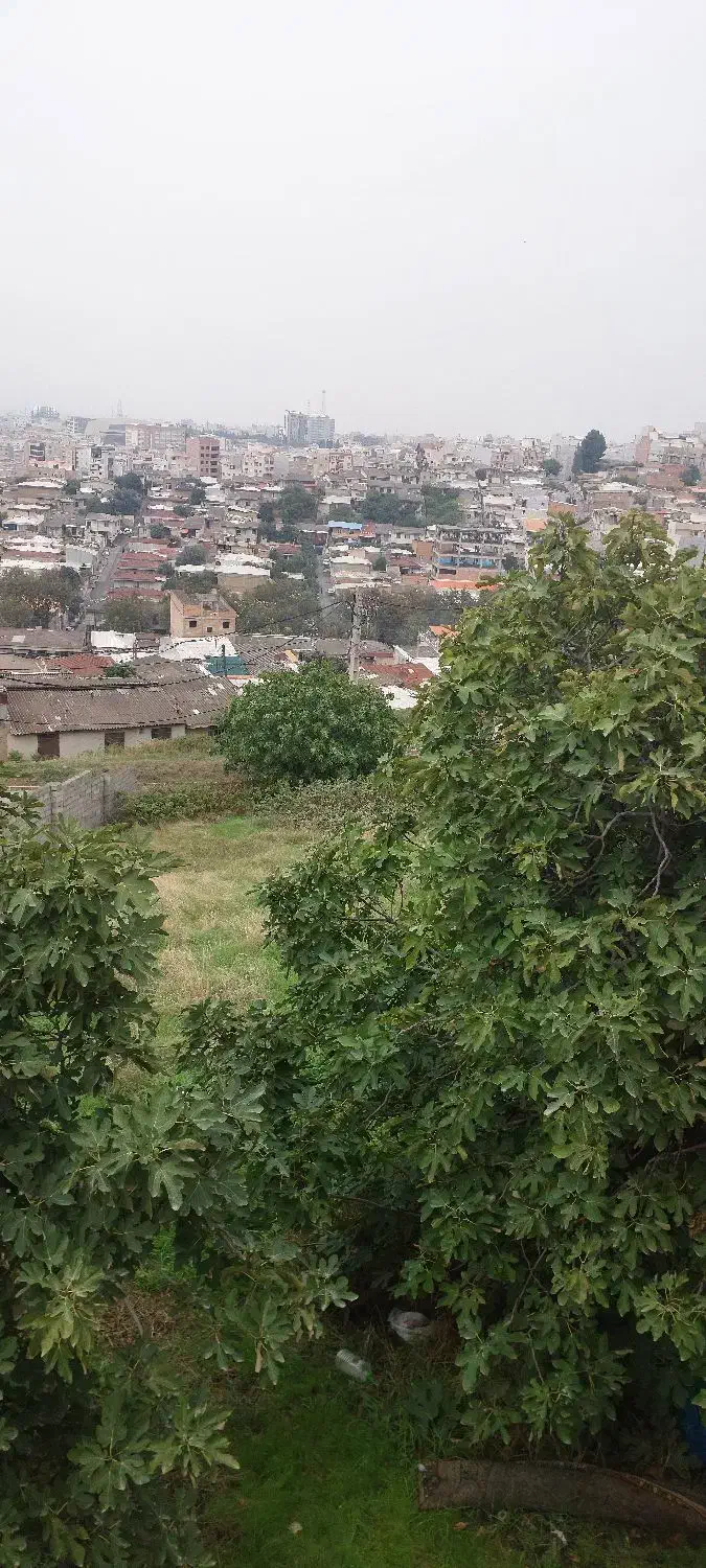 مشارکت در ساخت زمین ۱۱۵۰ متری|مشارکت در ساخت املاک|گرگان, |دیوار