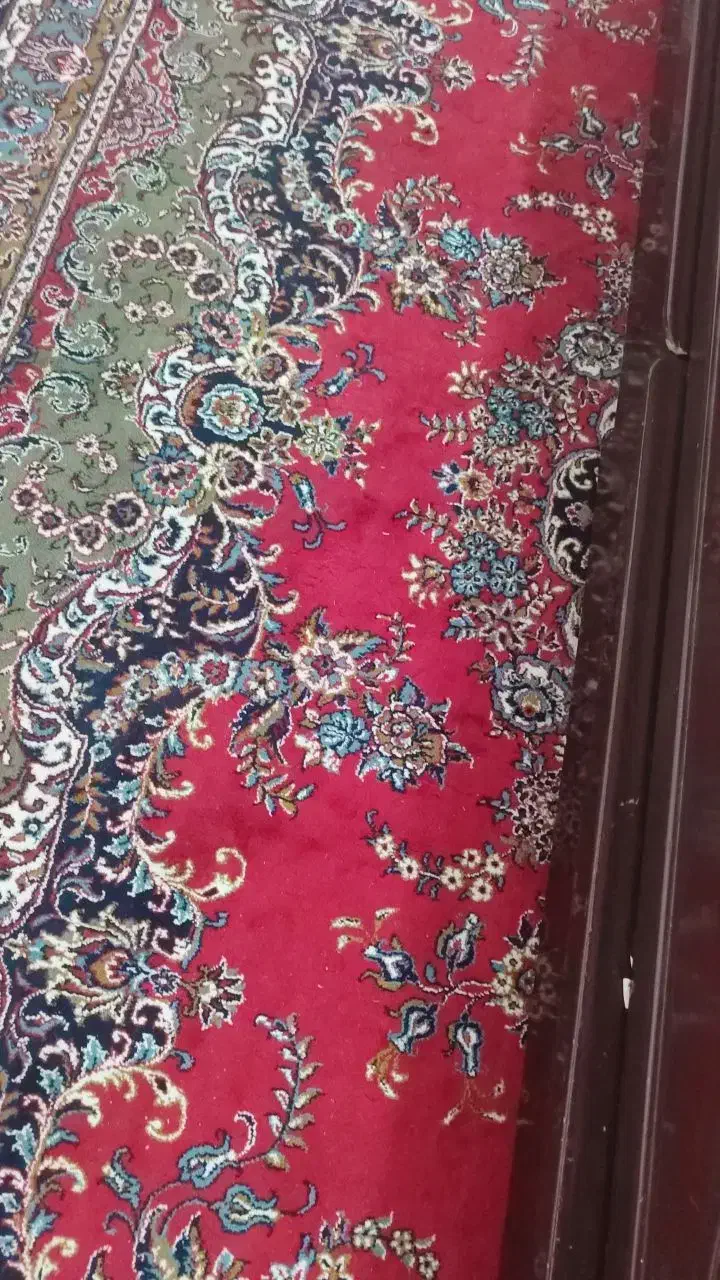 فرش در حد|فرش|بهار, |دیوار