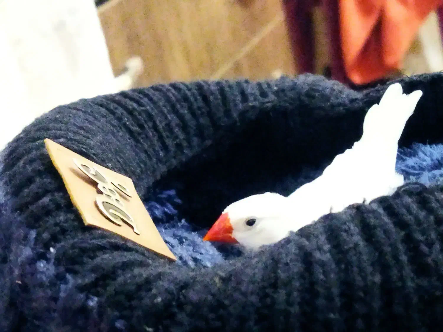 فنچ نر|پرنده|چناران, |دیوار