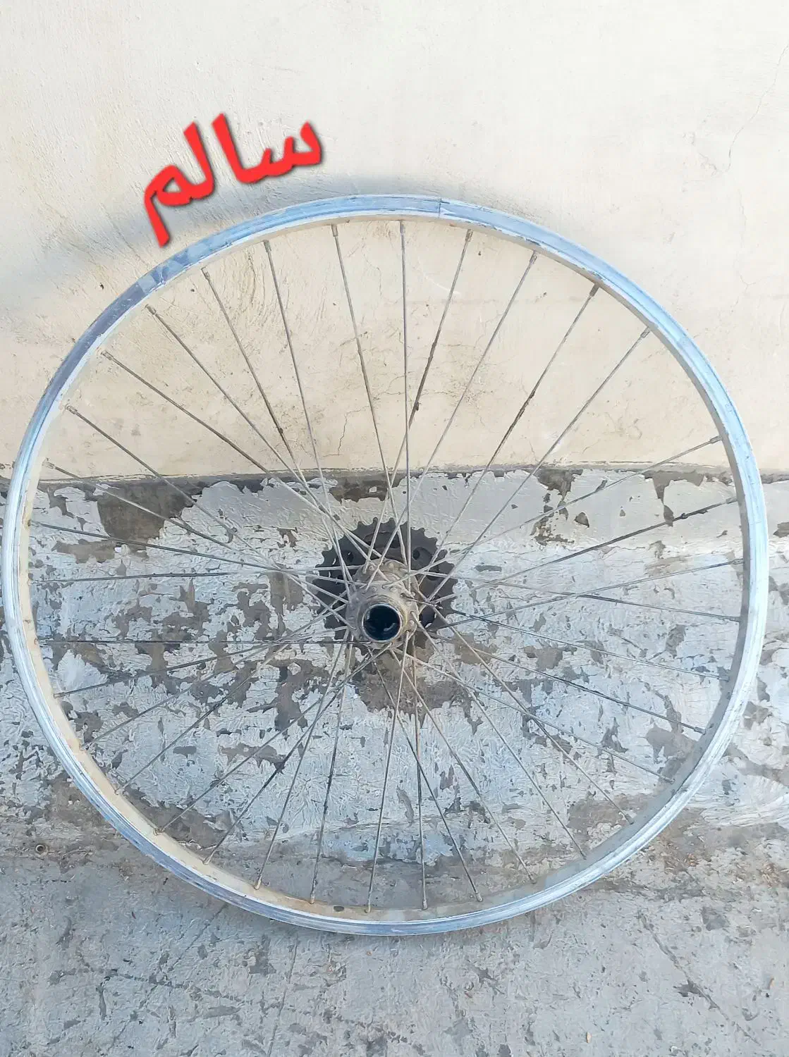 تایر ویل 26|دوچرخه، اسکیت، اسکوتر|اصفهان, ارزنان|دیوار