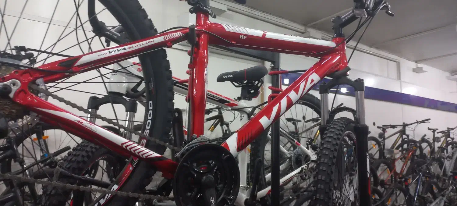 viva 29|دوچرخه، اسکیت، اسکوتر|اصفهان, چشمه باقرخان|دیوار