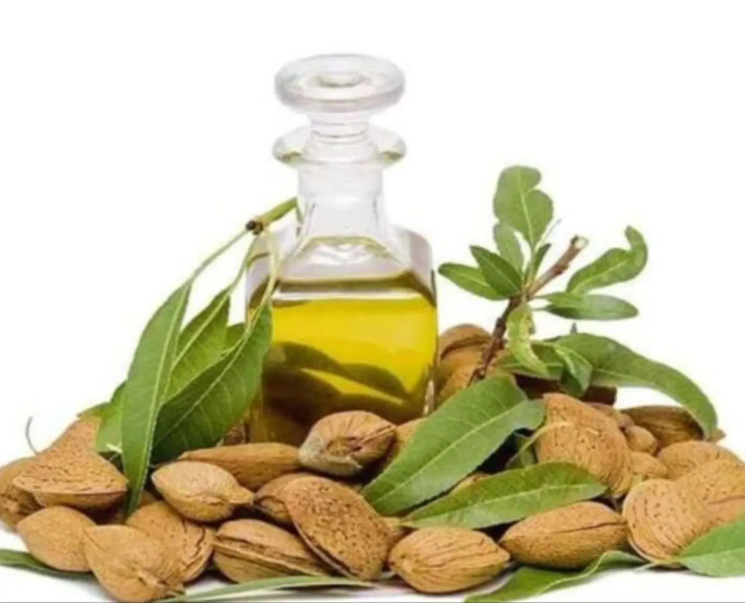 روغن|آرایشی، بهداشتی، درمانی|فومن, |دیوار