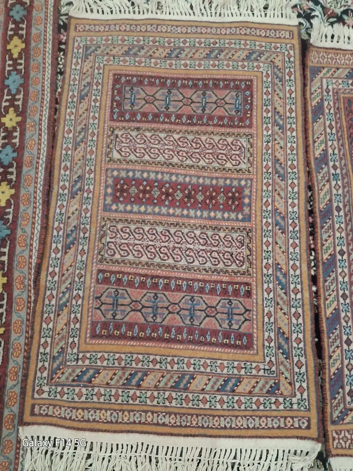 فرش دست بافت محلی|فرش|سیرجان, |دیوار