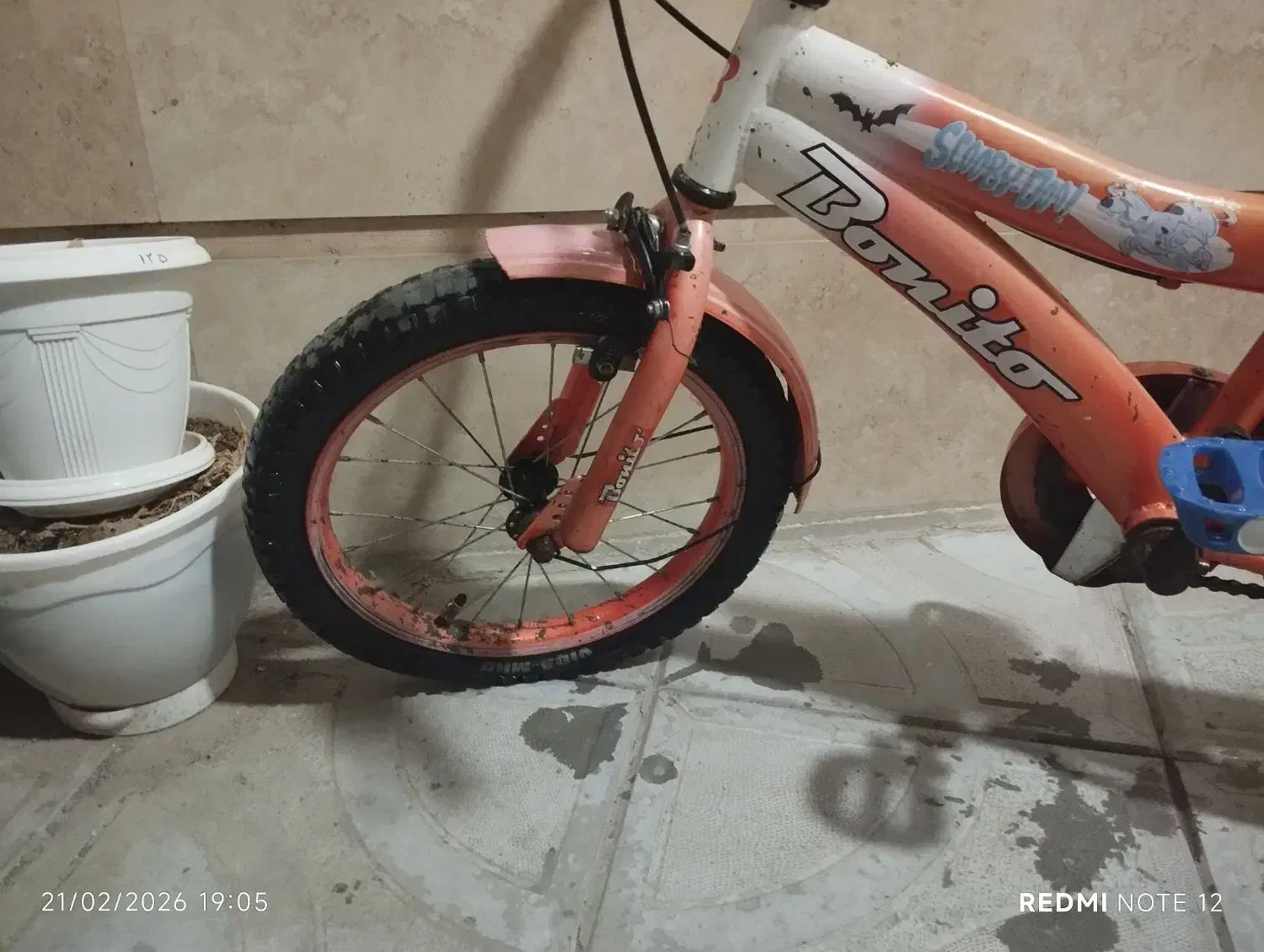 دوچرخه 16|دوچرخه، اسکیت، اسکوتر|تربتحیدریه, قائم|دیوار