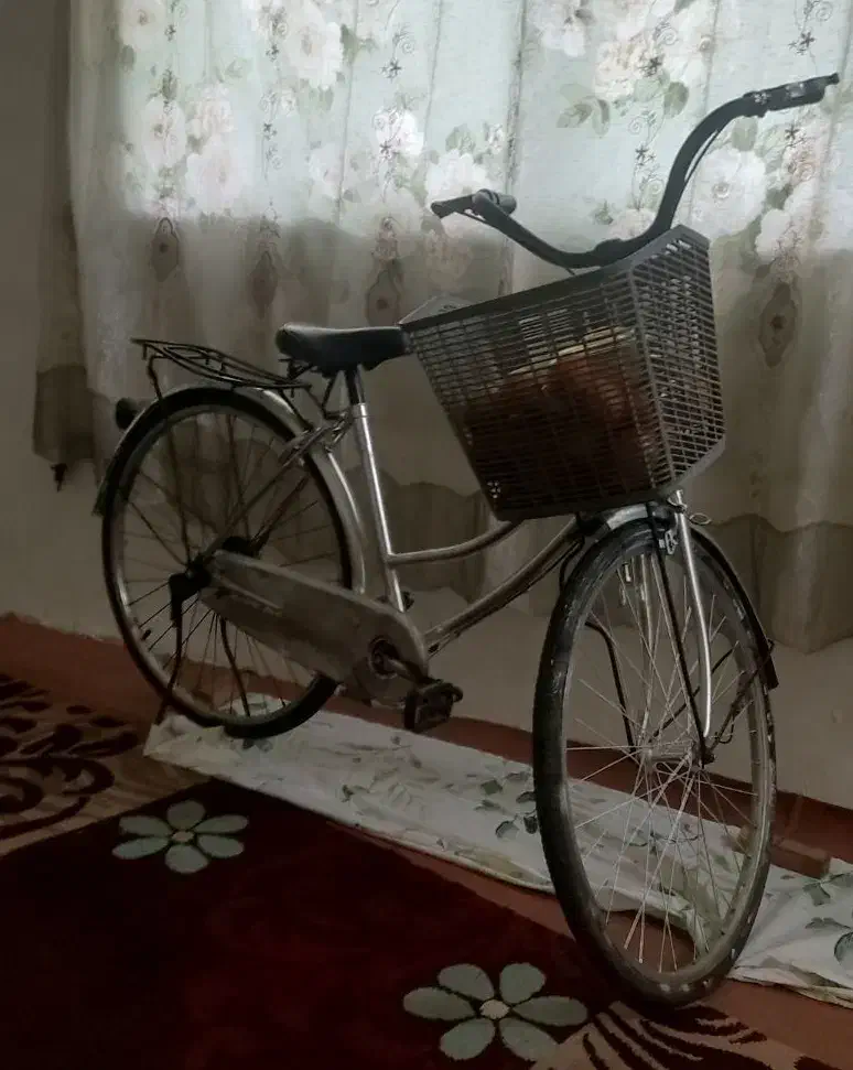 دوچرخه علی وسبک وفوقو الاده روون|دوچرخه، اسکیت، اسکوتر|شیرگاه, |دیوار