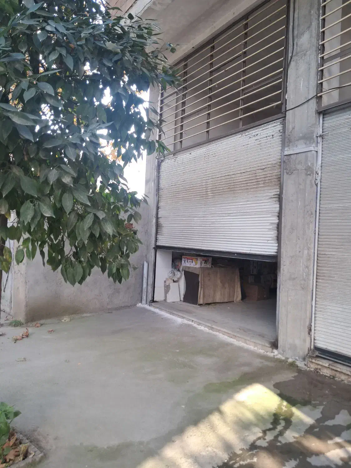 مغازه تجاری|فروش مغازه و غرفه|علی‌آباد کتول, |دیوار